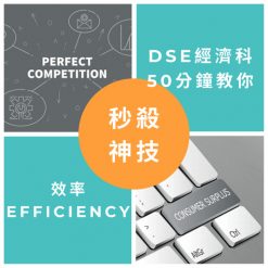 網上補習 Dse Econ 補習 Efficiency 效率