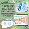 網上補習 Dse Biology 補習 Cell cycle and division 細胞週期與分裂