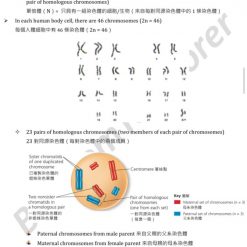 HKDSE Biology Cell cycle and division 細胞週期與分裂