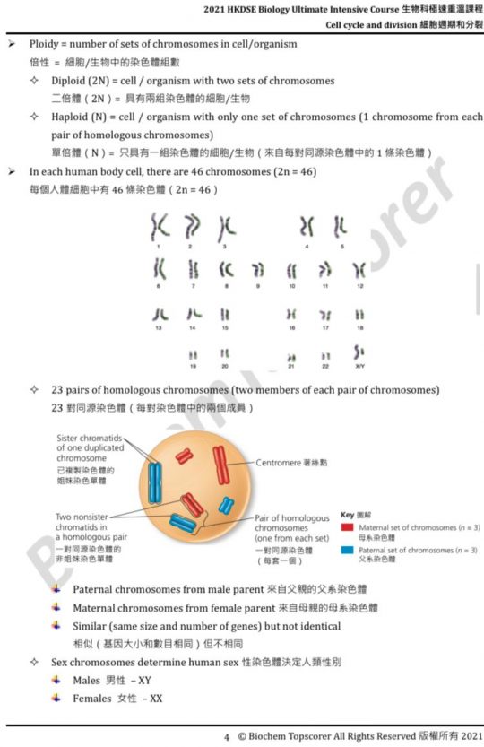 HKDSE Biology Cell cycle and division 細胞週期與分裂