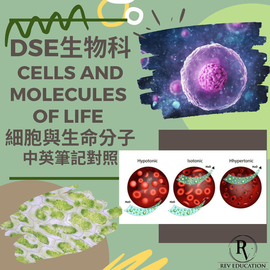 網上補習 Dse Biology 補習 Cells and molecules of life 細胞與生命分子