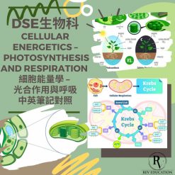 網上補習 Dse Biology 補習 Cellular Energetics - photosynthesis and respiration 細胞能量學 - 光合作用與呼吸作用