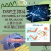 網上補習 Dse Biology 補習 Coordination in humans 人體的協調