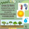 網上補習 Dse Biology 補習 Essential Life Processes in plants 植物維持生命的活動