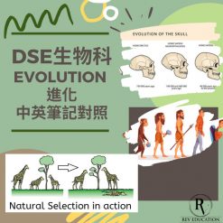 網上補習 Dse Biology 補習 Evolution 進化