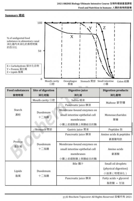 HKDSE Biology Food and Nutrition in humans 人類的食物和營養