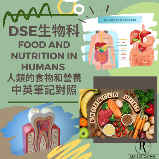 網上補習 Dse Biology 補習 Food and Nutrition in humans 人類的食物和營養
