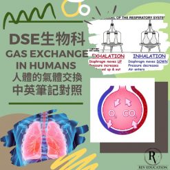 網上補習 Dse Biology 補習 Gas Exchange in humans 人體的氣體交換