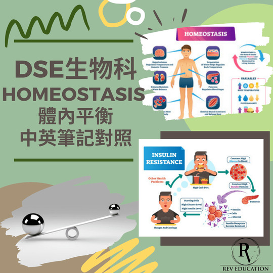 網上補習 Dse Biology 補習 Homeostasis 體內平衡