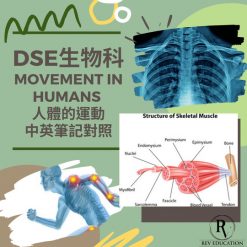 網上補習 Dse Biology 補習 Movement in humans 人體的運動