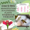 網上補習 Dse Biology 補習 Reproduction in flowering plants 有花植物的生殖