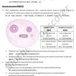 HKDSE Biology Reproduction in humans 人的生殖