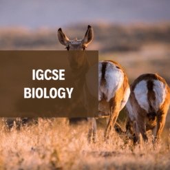 IGCSE Biology 生物