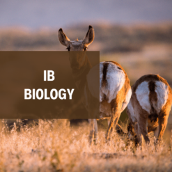 IB Biology 生物